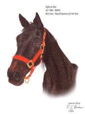 Right On Red retired thoroughbred at CERF