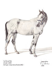 Top This and That retired thoroughbred at CERF